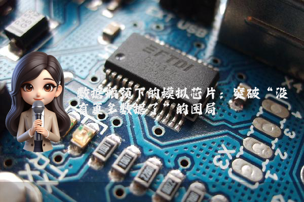 数据瓶颈下的模拟芯片：突破“没有更多数据了”的困局